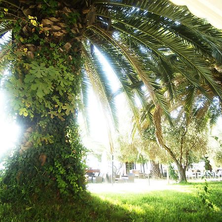 Possidona Beach Hotel Gerakini Exterior foto